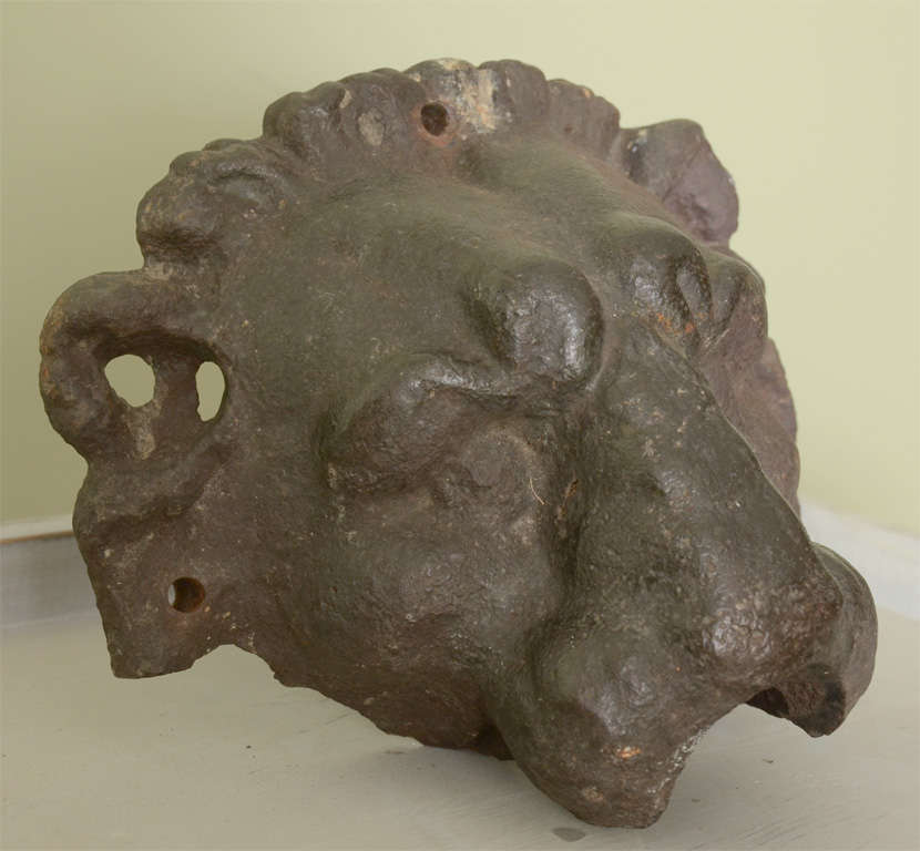 Lion head Decoration France
